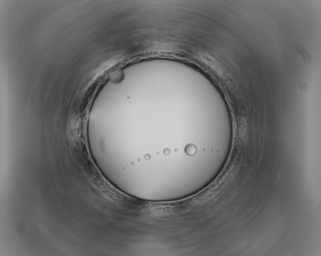 X0000112961258200909101625