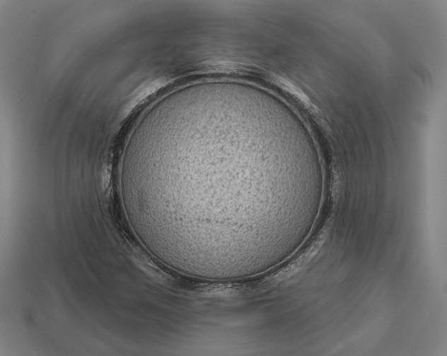 X0000112961259200909101625