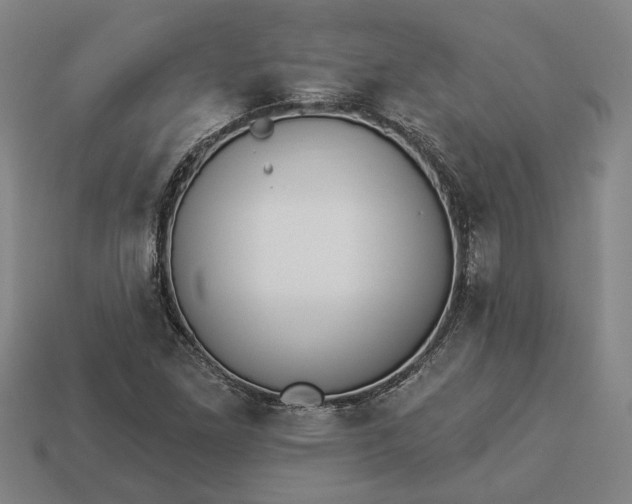 X0000112961261200909101625