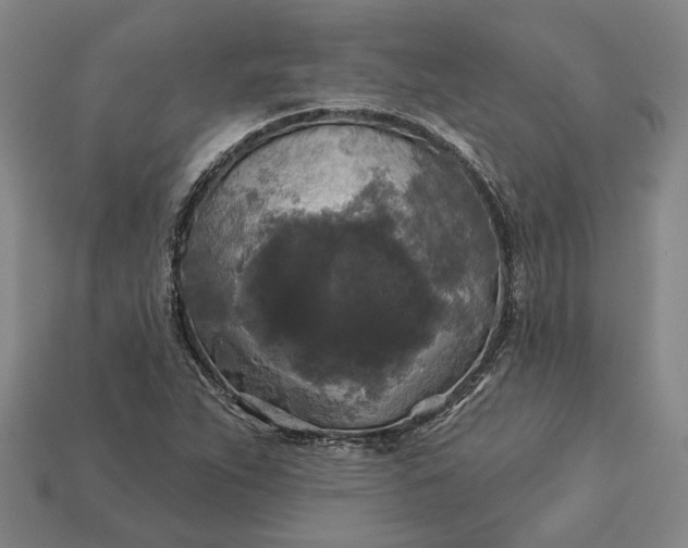 X0000112961263200909101625