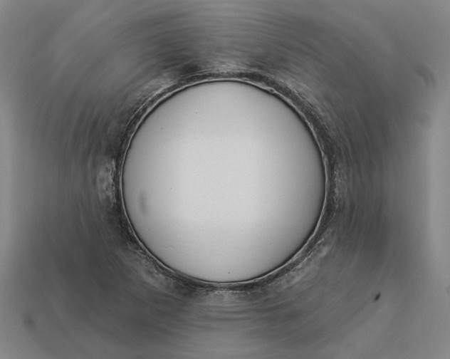 X0000112961265200909101625