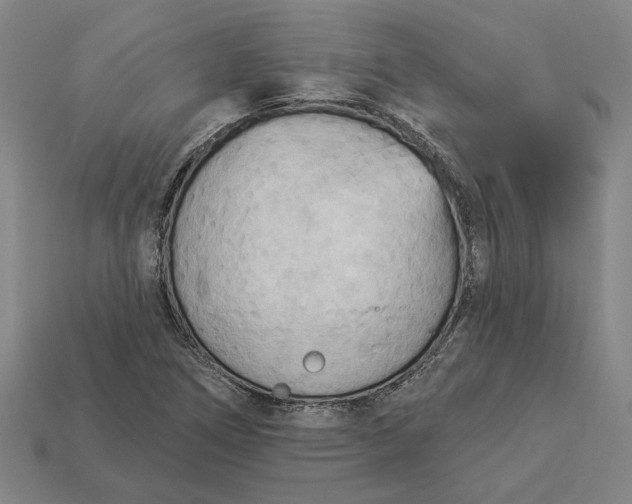 X0000112961266200909101625