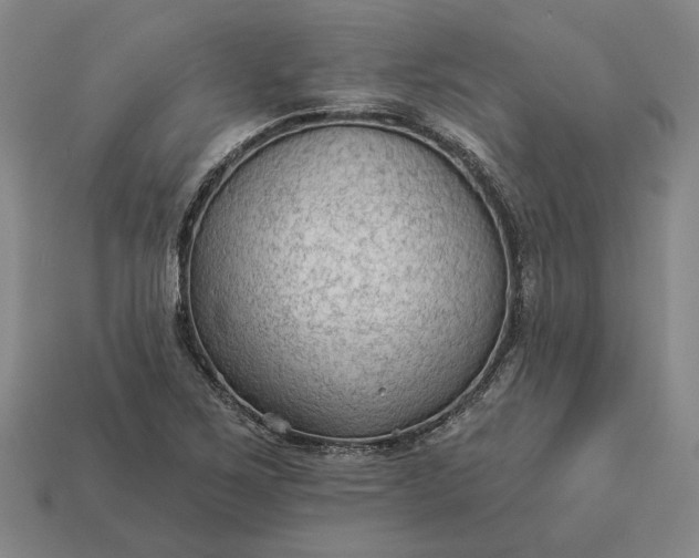 X0000112961267200909101625