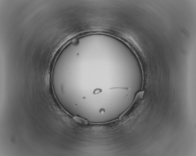 X0000112961268200909101625