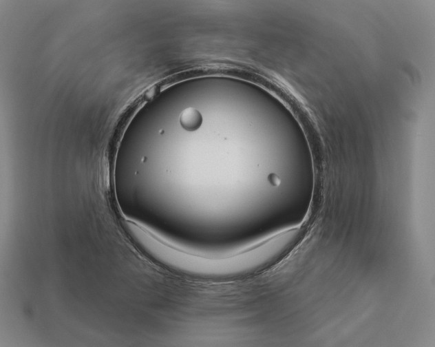 X0000112961269200909101625