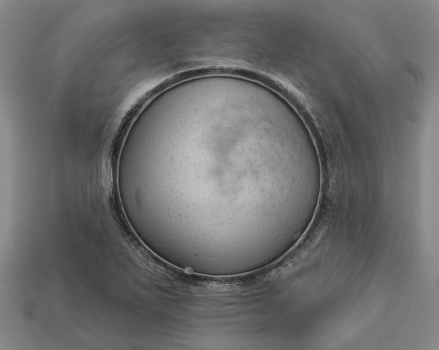 X0000112961271200909101625