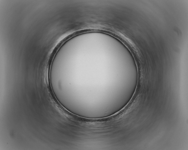 X0000112961272200909101625