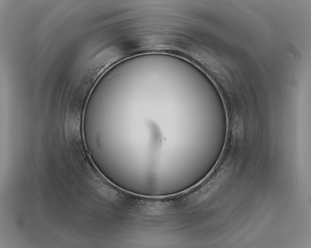 X0000112961273200909101625