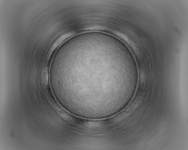 X0000112961274200909101625