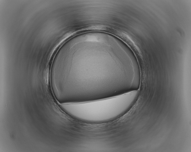 X0000112961276200909101625