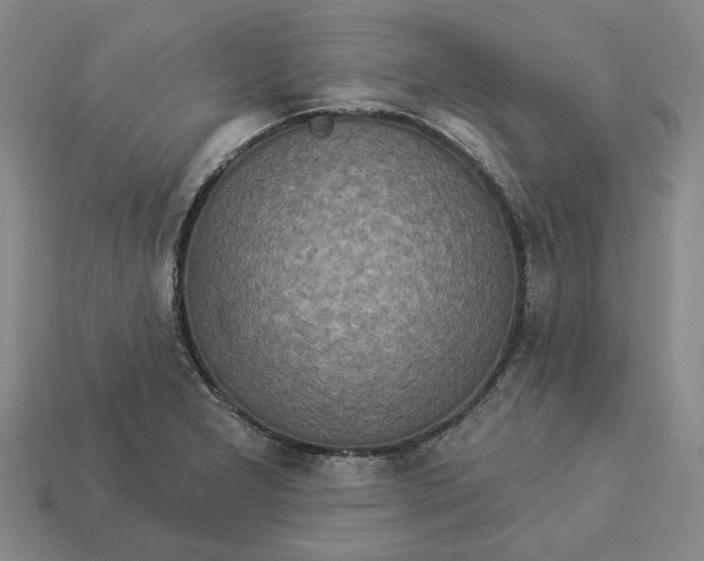 X0000112961277200909101625