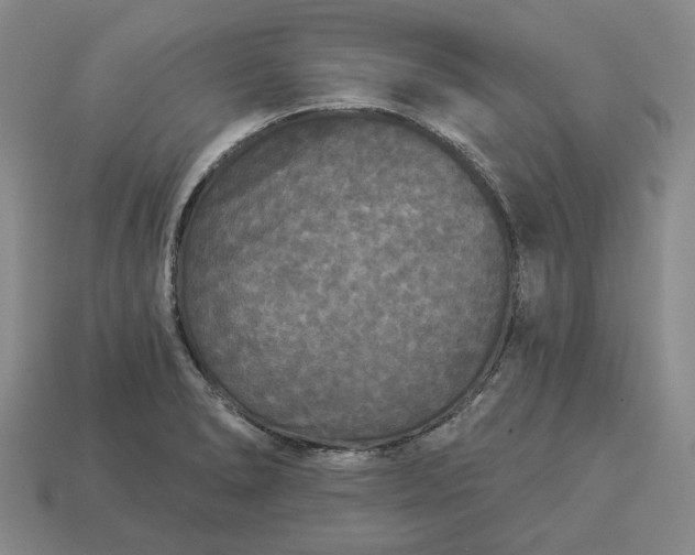 X0000112961278200909101625