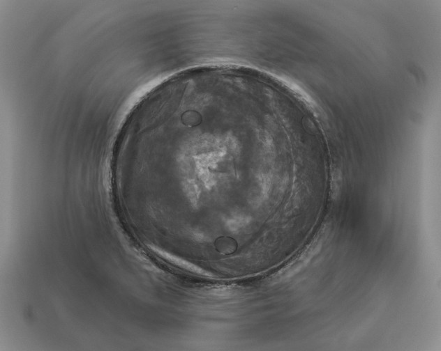 X0000112961279200909101625