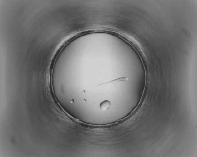 X0000112961280200909101625