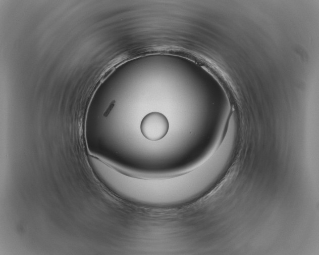 X0000112961281200909101625