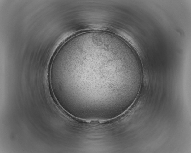 X0000112961283200909101625