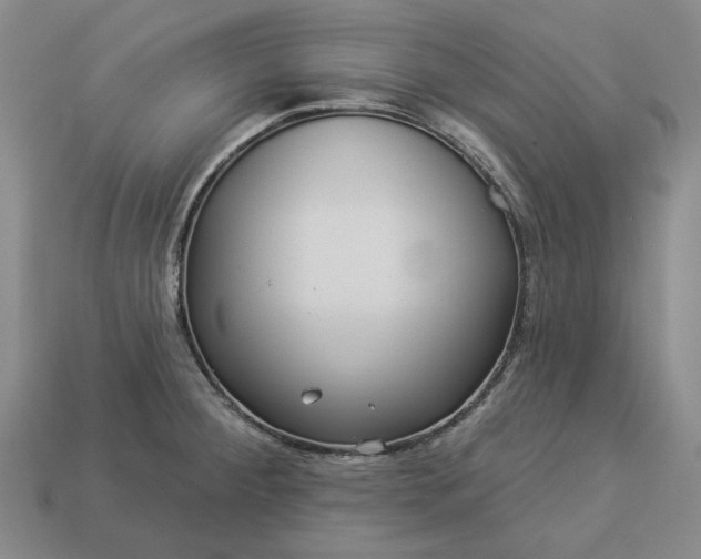 X0000112961284200909101625