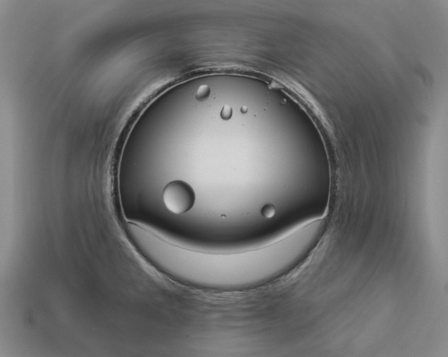 X0000112961285200909101625