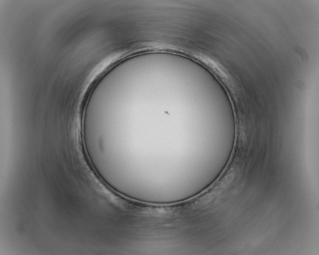 X0000112961286200909101625