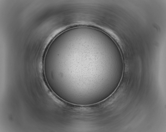 X0000112961287200909101625