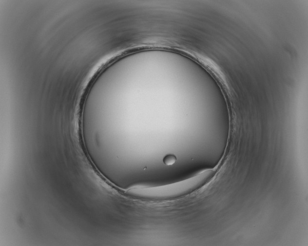 X0000112961288200909101625