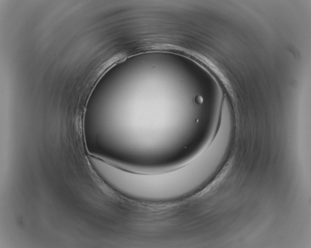 X0000112961289200909101625