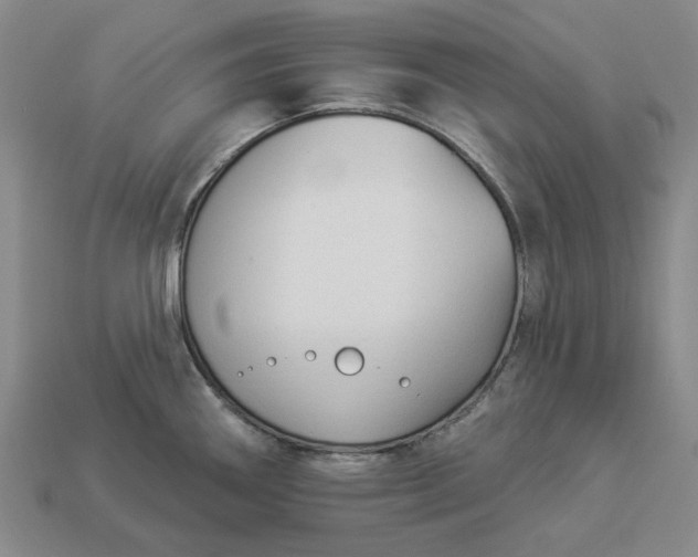 X0000112961290200909101625