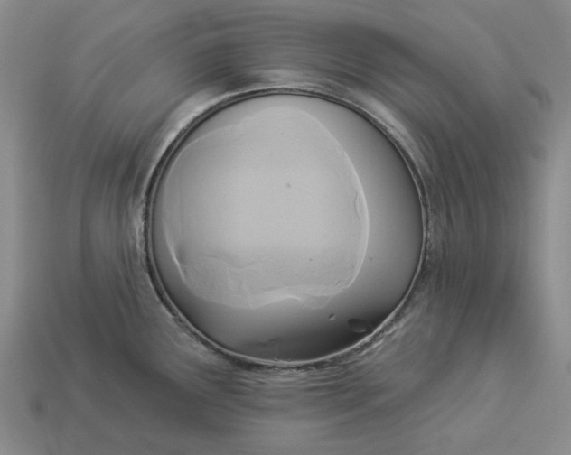 X0000112961291200909101625