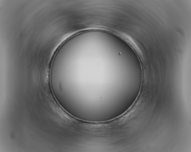 X0000112961292200909101625