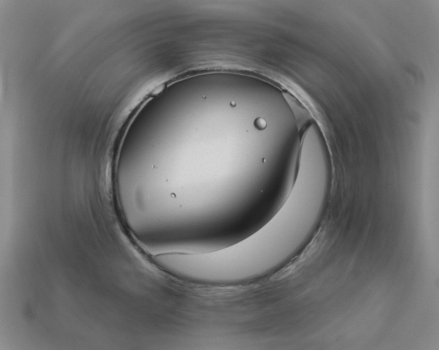 X0000112961293200909101625