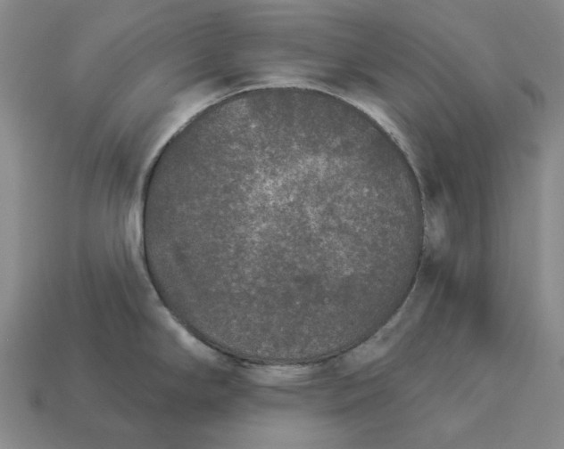 X0000112961294200909101625