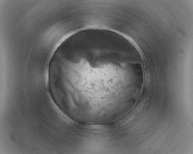 X0000112961295200909101625