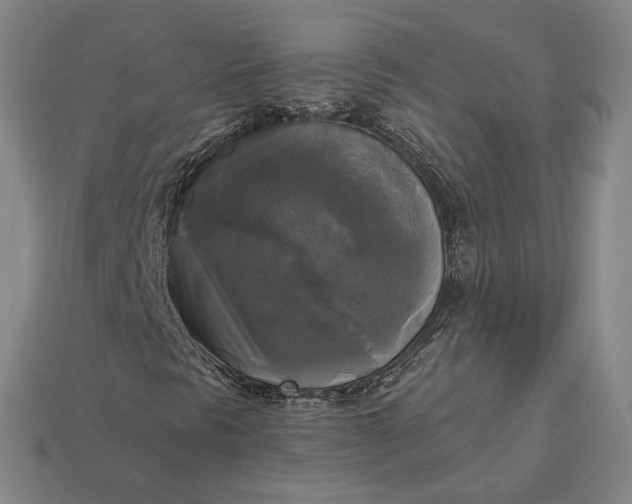 X0000112961297200909101624