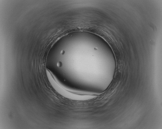 X0000112961298200909101624