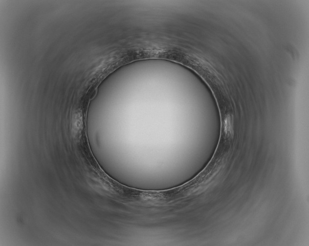 X0000112961299200909101624