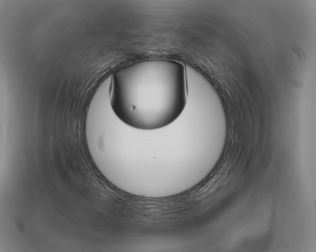 X0000112961300200909101624