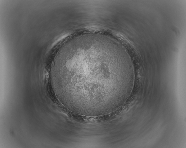 X0000112961302200909101624