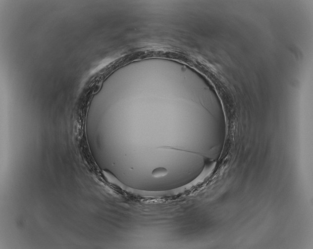 X0000112961303200909101624