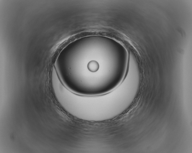 X0000112961304200909101624