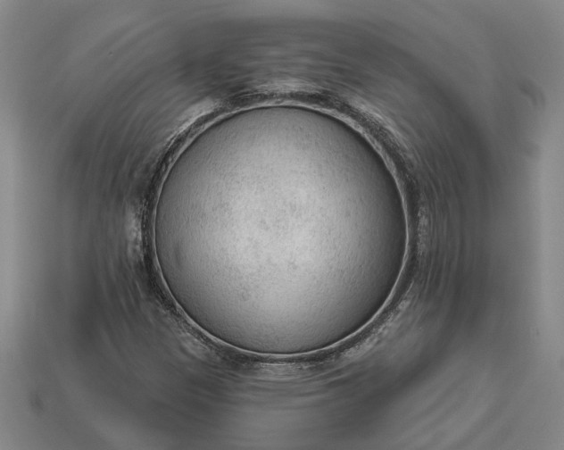 X0000112961305200909101624