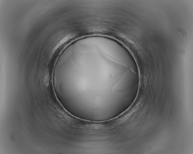 X0000112961306200909101624