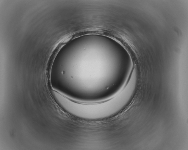 X0000112961308200909101624