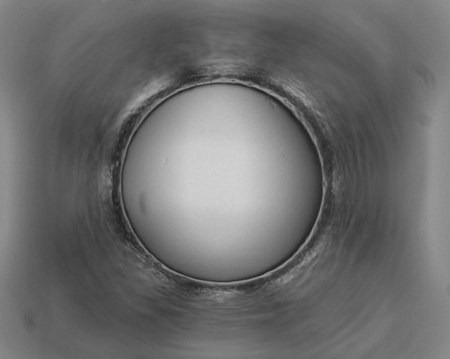 X0000112961309200909101624