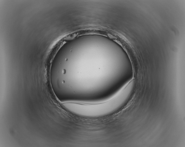 X0000112961310200909101624