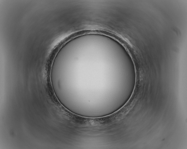 X0000112961311200909101624