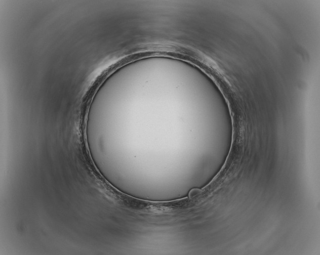 X0000112961312200909101624