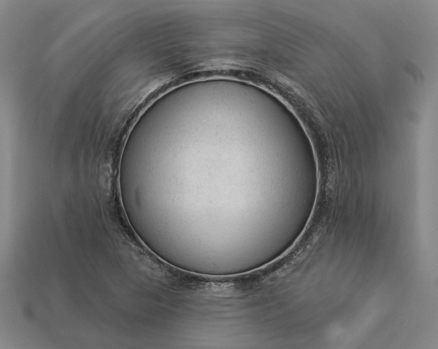 X0000112961313200909101624