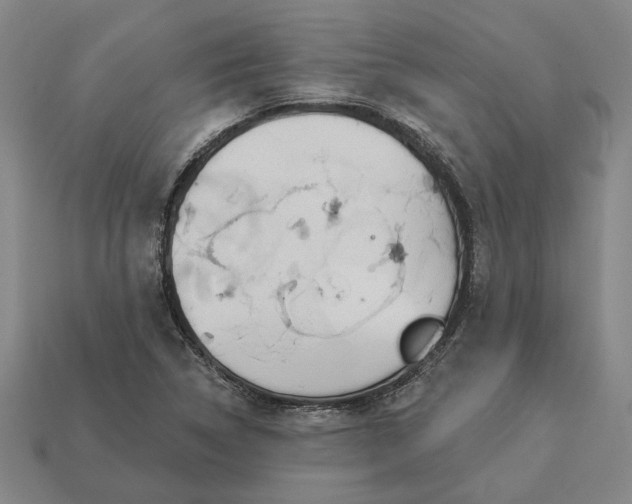 X0000112961314200909101624