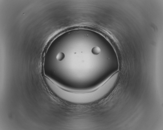 X0000112961316200909101624