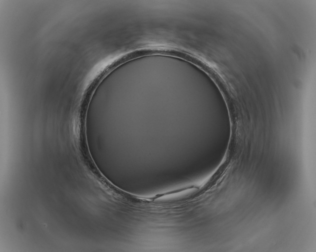 X0000112961319200909101624